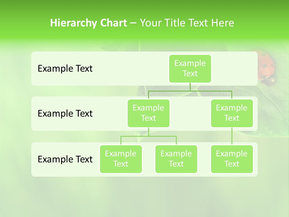 Detail Design Sitting PowerPoint Template