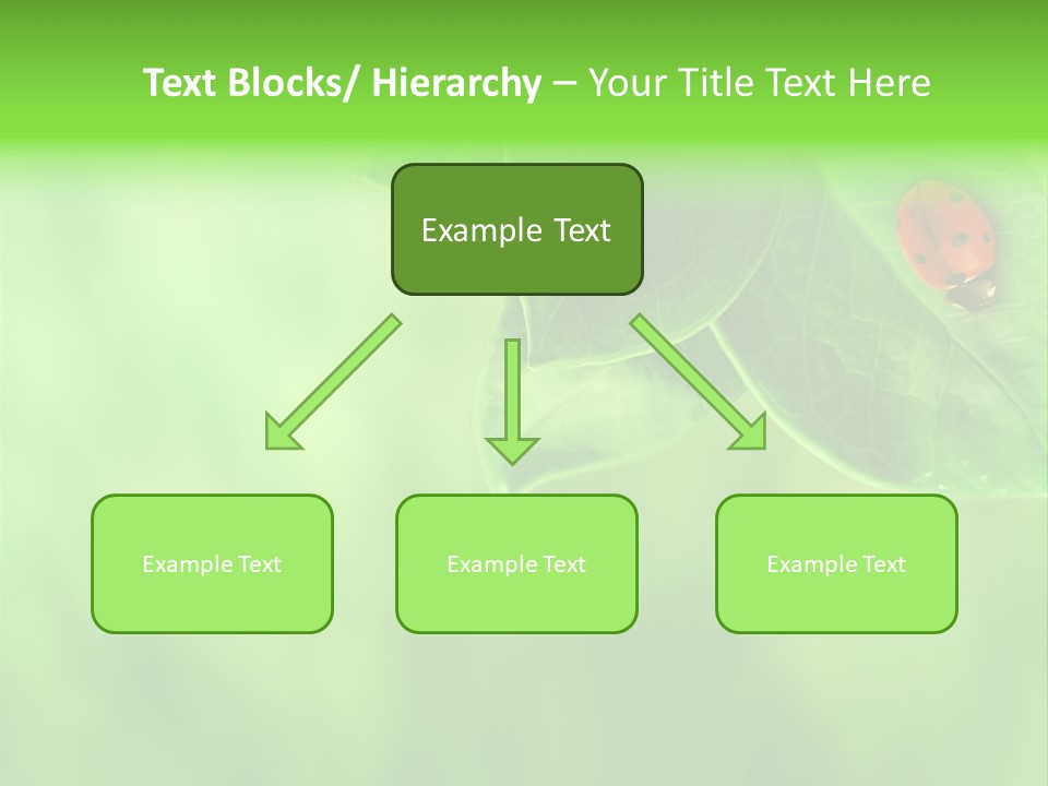 Detail Design Sitting PowerPoint Template