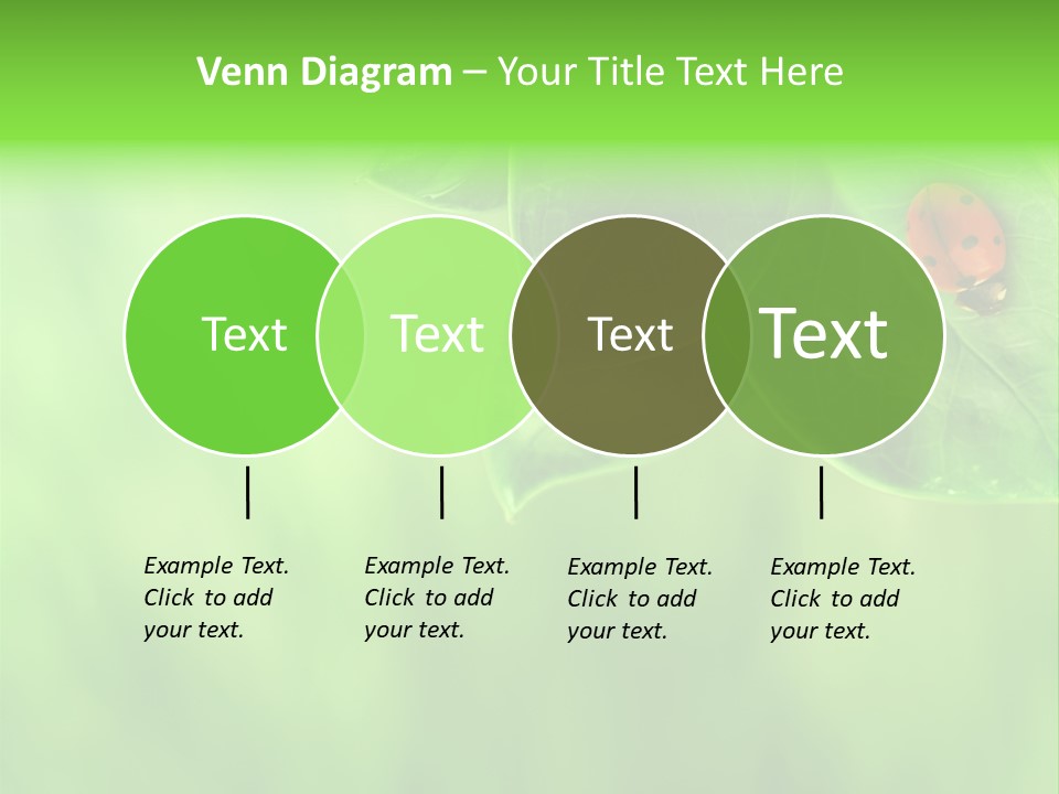 Detail Design Sitting PowerPoint Template