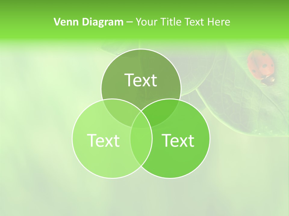 Detail Design Sitting PowerPoint Template