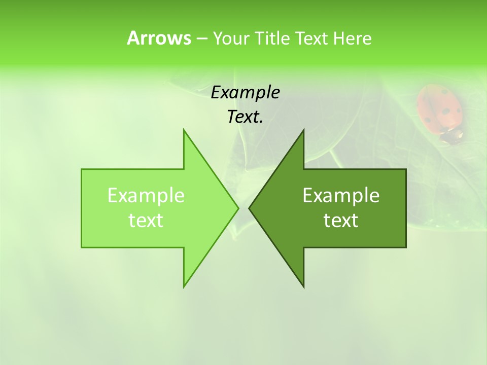 Detail Design Sitting PowerPoint Template