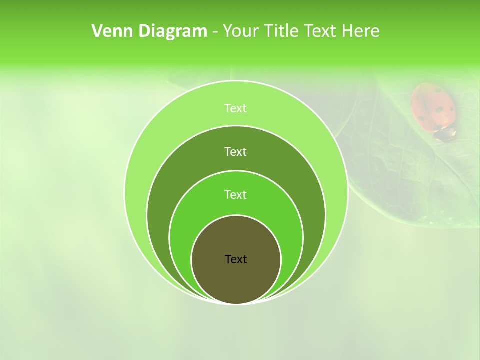 Detail Design Sitting PowerPoint Template