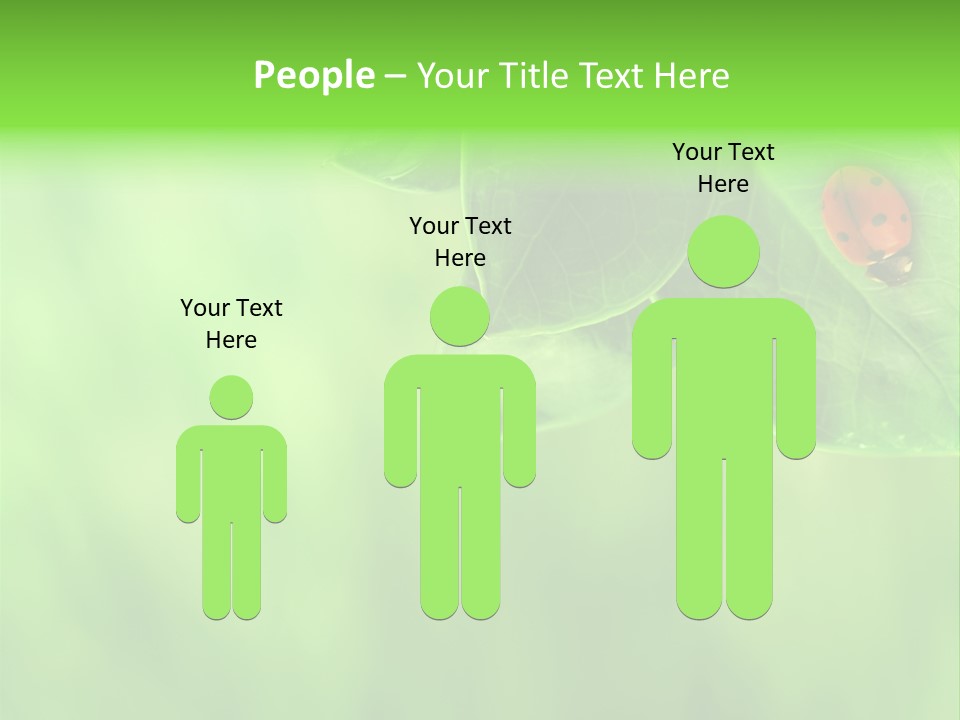 Detail Design Sitting PowerPoint Template