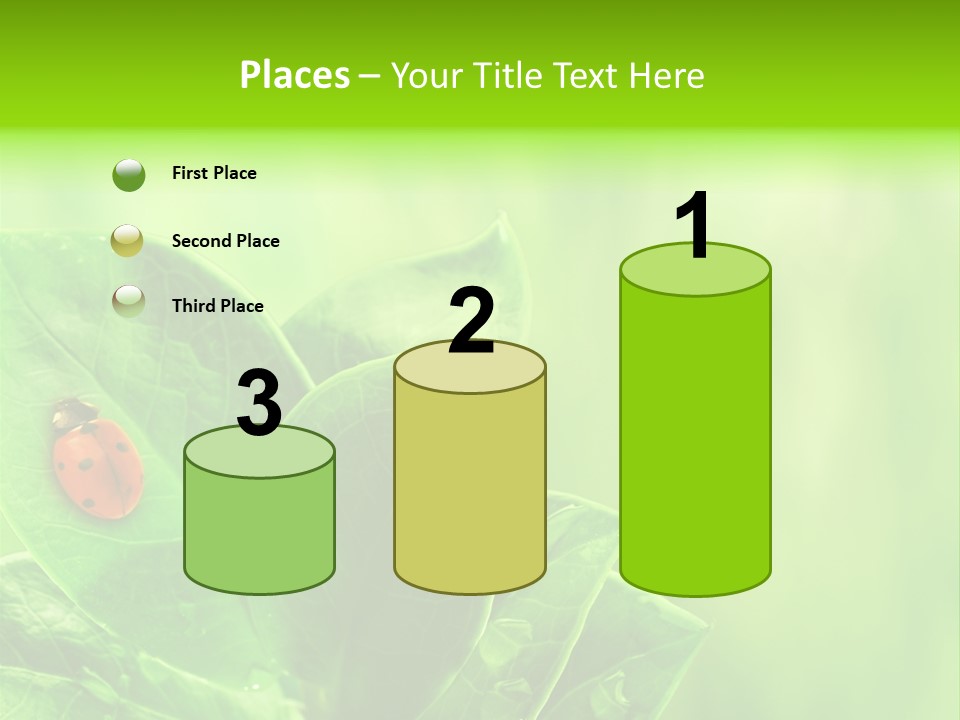 Drop Rain Bug PowerPoint Template