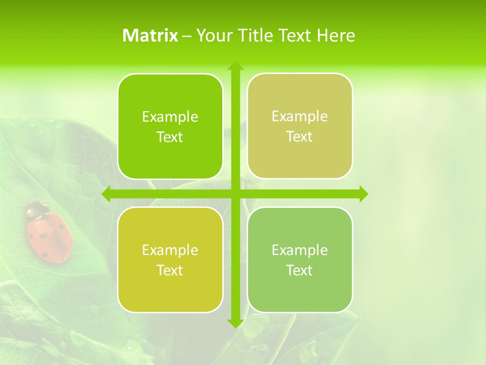 Drop Rain Bug PowerPoint Template