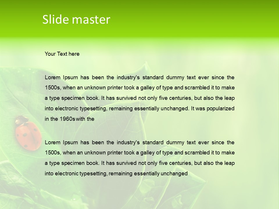 Drop Rain Bug PowerPoint Template