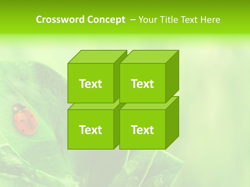 Drop Rain Bug PowerPoint Template