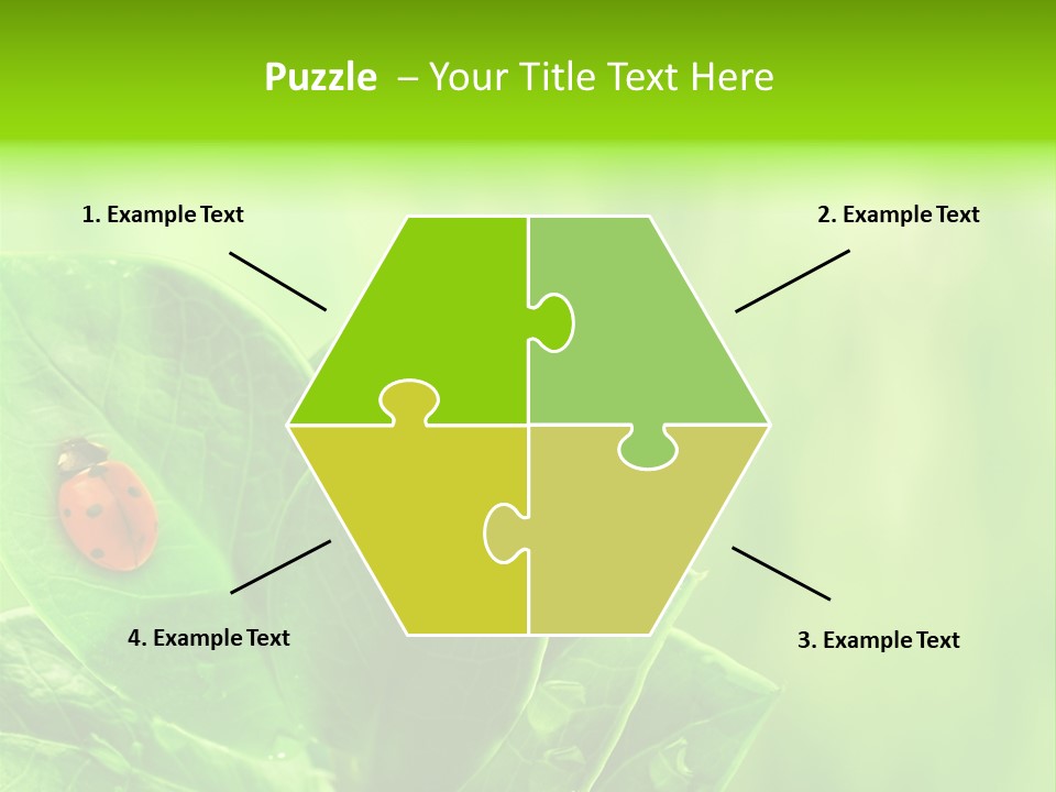 Drop Rain Bug PowerPoint Template