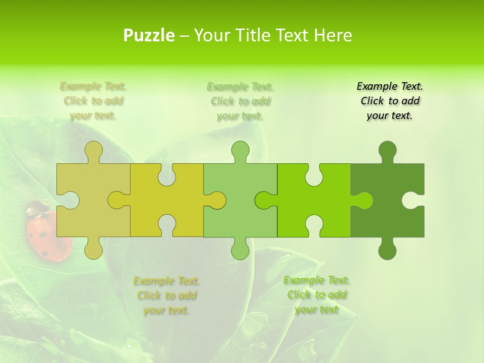 Drop Rain Bug PowerPoint Template