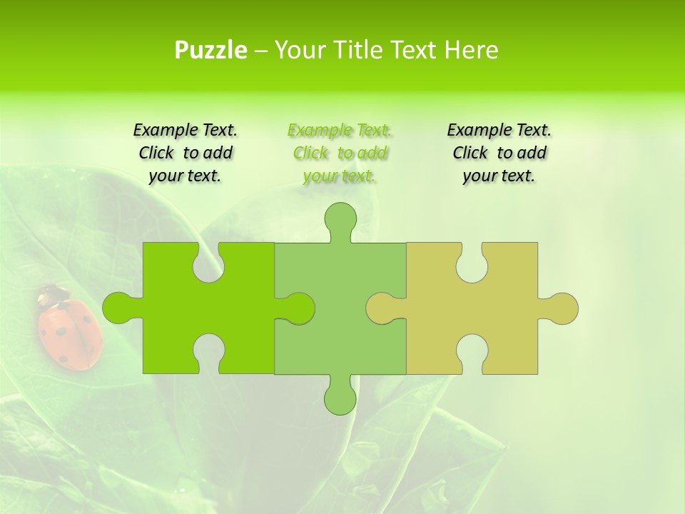 Drop Rain Bug PowerPoint Template