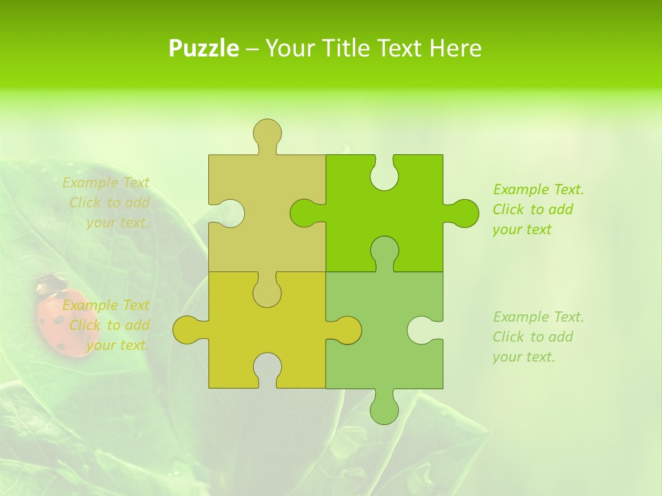 Drop Rain Bug PowerPoint Template