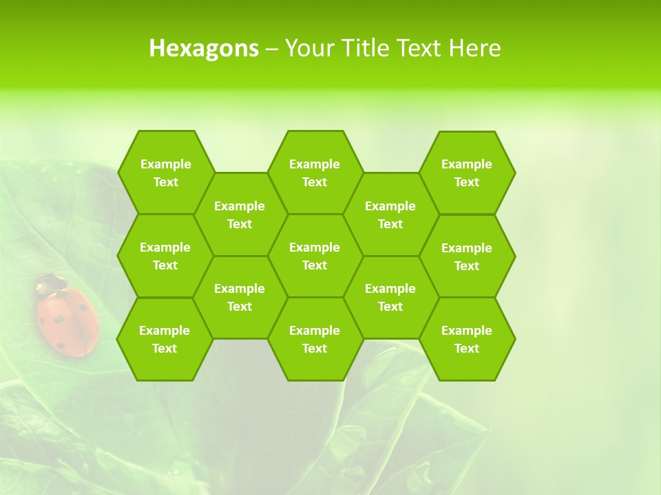 Drop Rain Bug PowerPoint Template