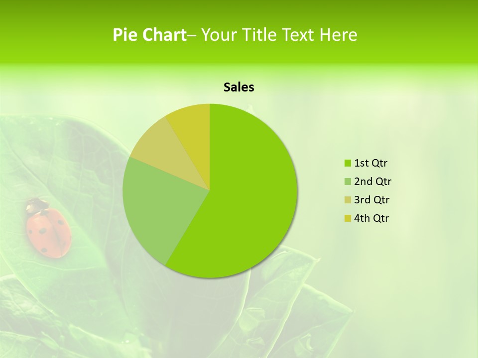 Drop Rain Bug PowerPoint Template