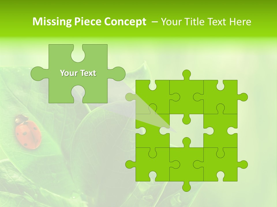 Drop Rain Bug PowerPoint Template