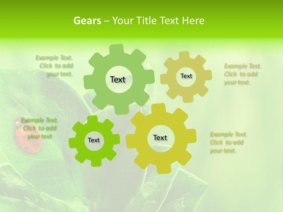 Drop Rain Bug PowerPoint Template