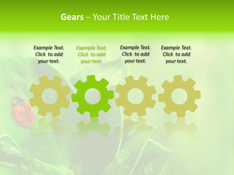 Drop Rain Bug PowerPoint Template