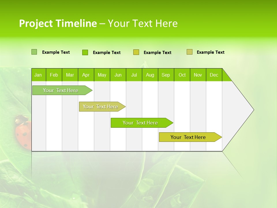 Drop Rain Bug PowerPoint Template