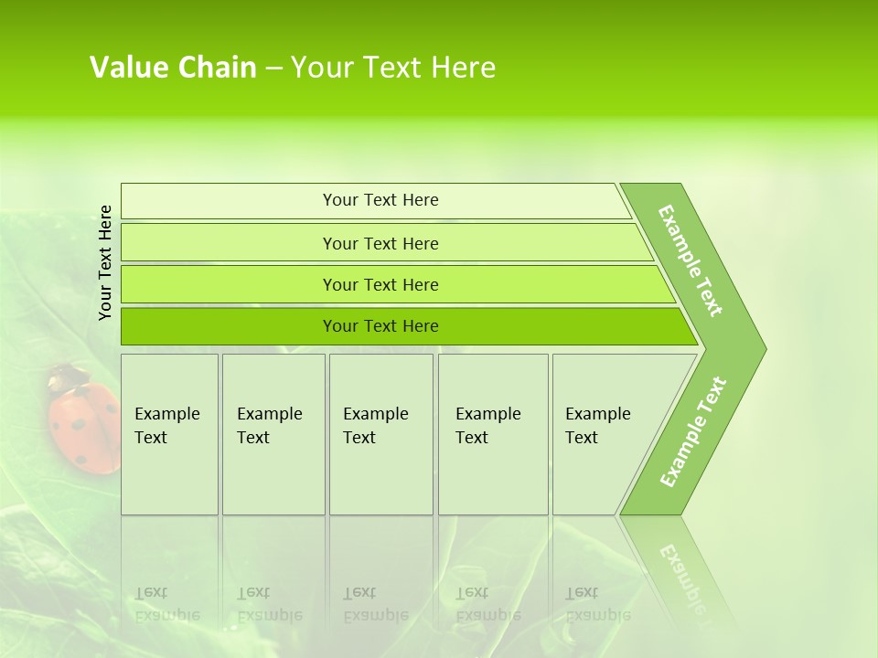 Drop Rain Bug PowerPoint Template