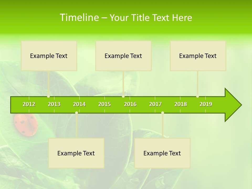 Drop Rain Bug PowerPoint Template