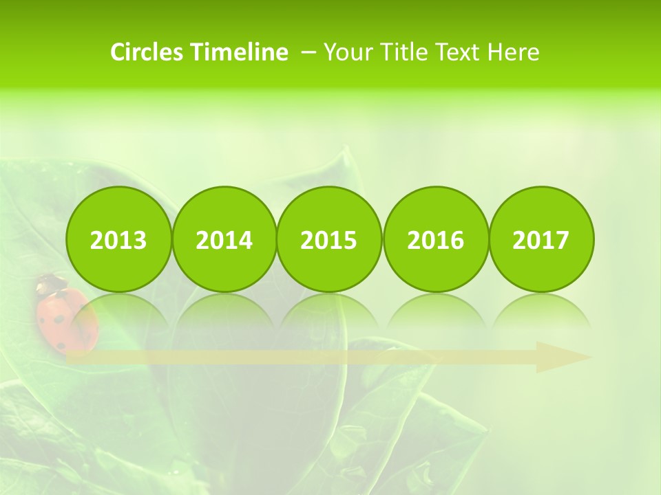 Drop Rain Bug PowerPoint Template