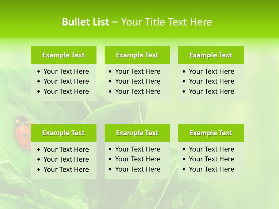 Drop Rain Bug PowerPoint Template