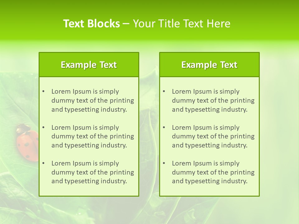 Drop Rain Bug PowerPoint Template