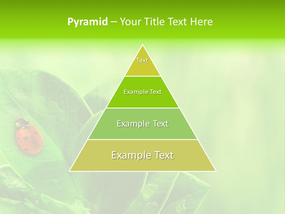 Drop Rain Bug PowerPoint Template