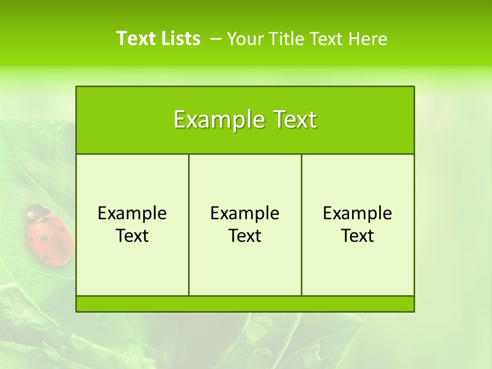 Drop Rain Bug PowerPoint Template