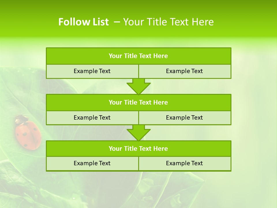 Drop Rain Bug PowerPoint Template