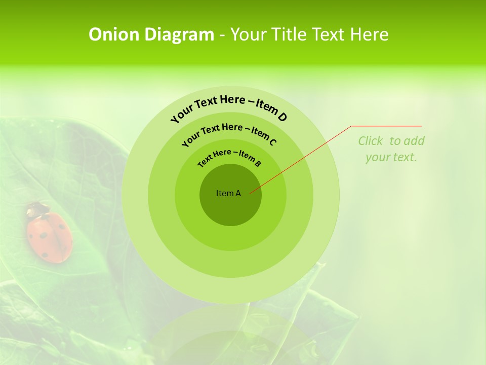 Drop Rain Bug PowerPoint Template