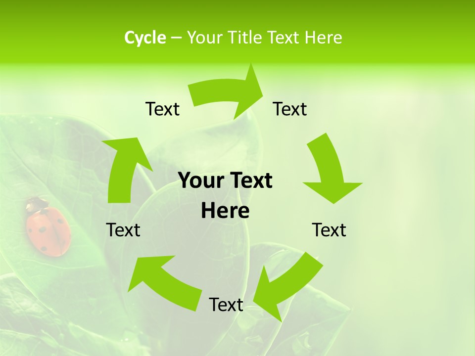 Drop Rain Bug PowerPoint Template