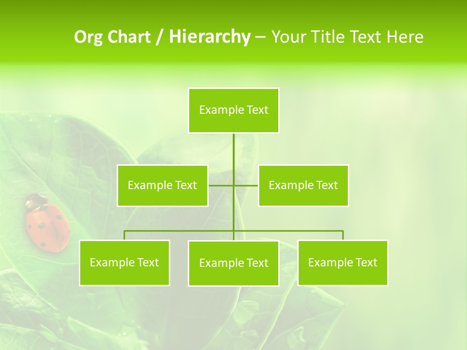 Drop Rain Bug PowerPoint Template