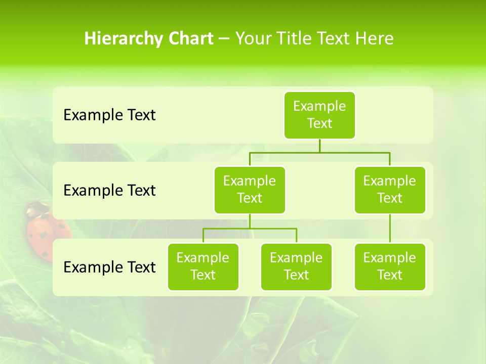 Drop Rain Bug PowerPoint Template