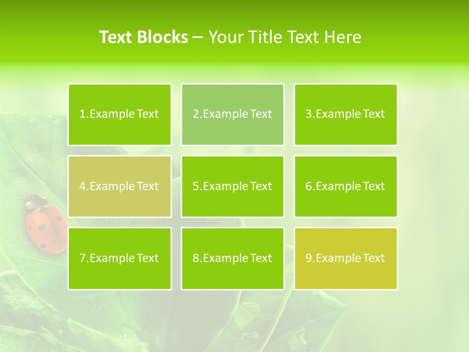 Drop Rain Bug PowerPoint Template