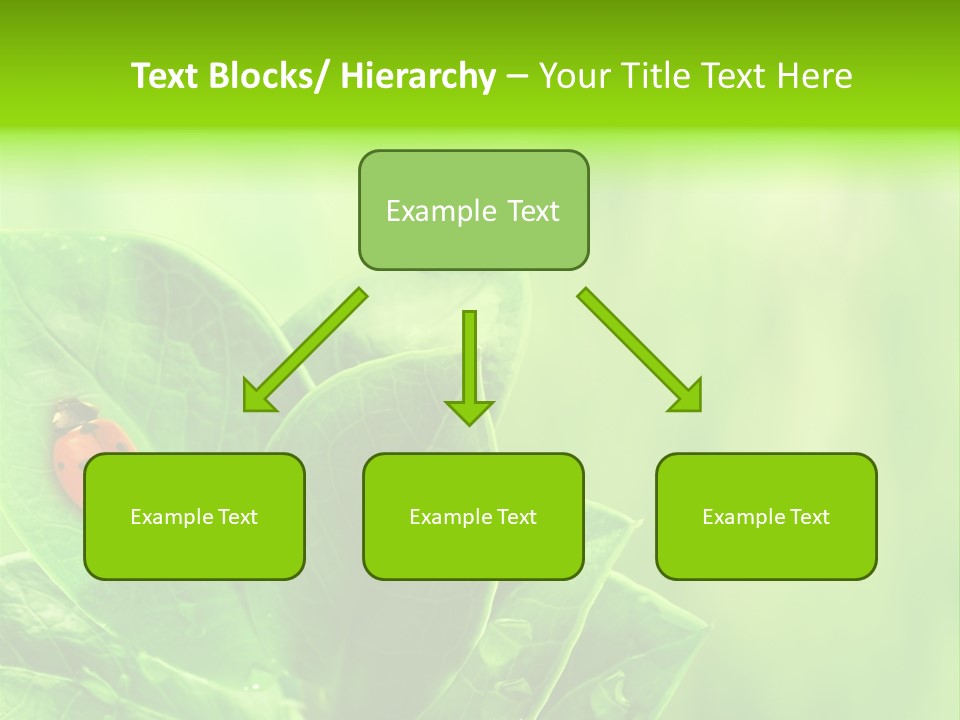 Drop Rain Bug PowerPoint Template