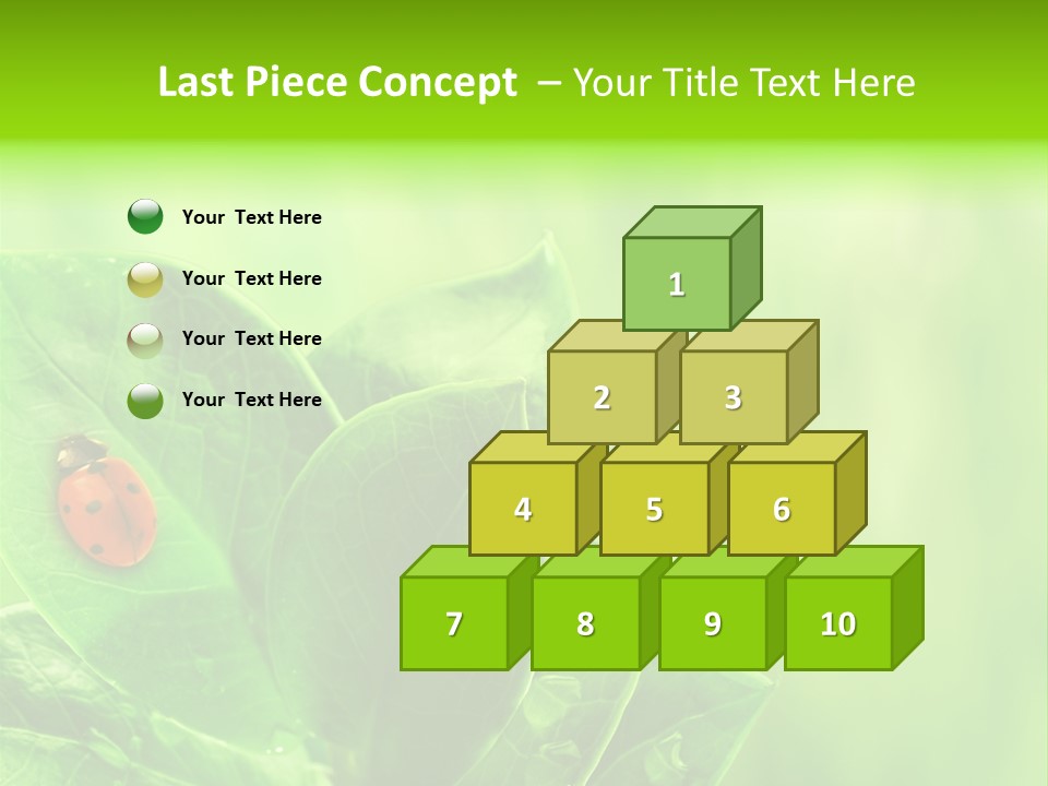 Drop Rain Bug PowerPoint Template