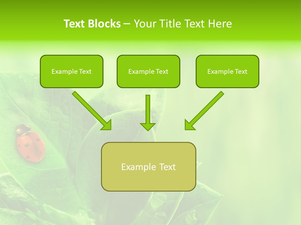 Drop Rain Bug PowerPoint Template