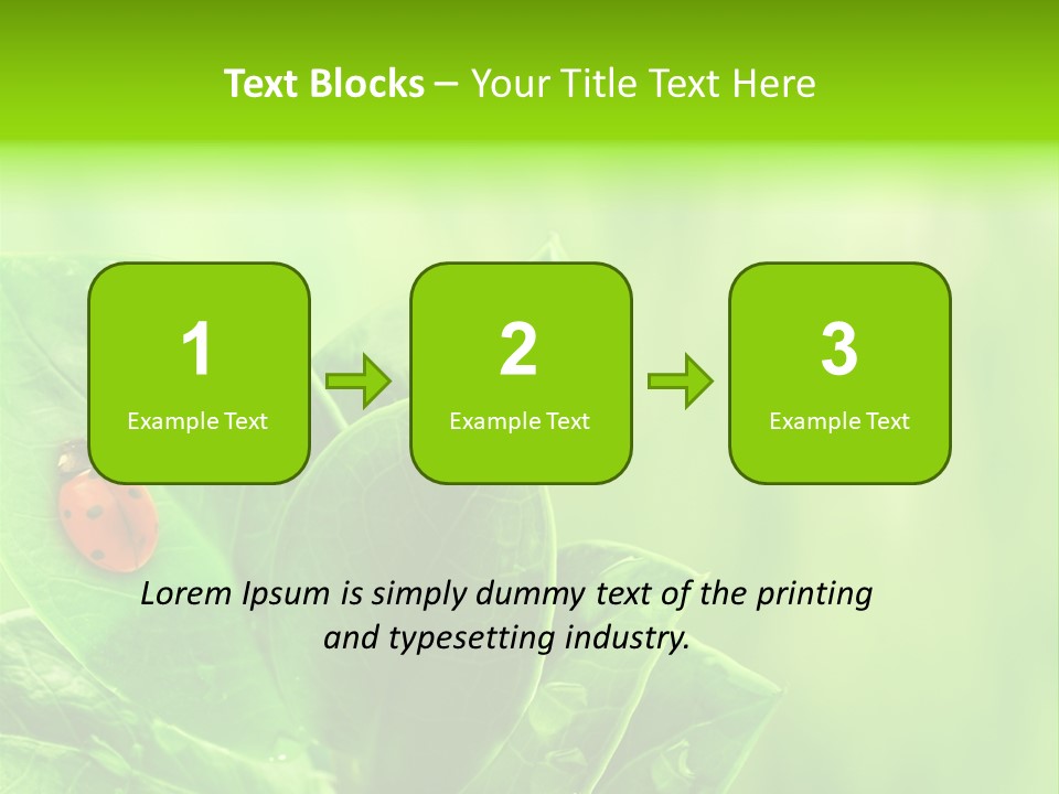 Drop Rain Bug PowerPoint Template