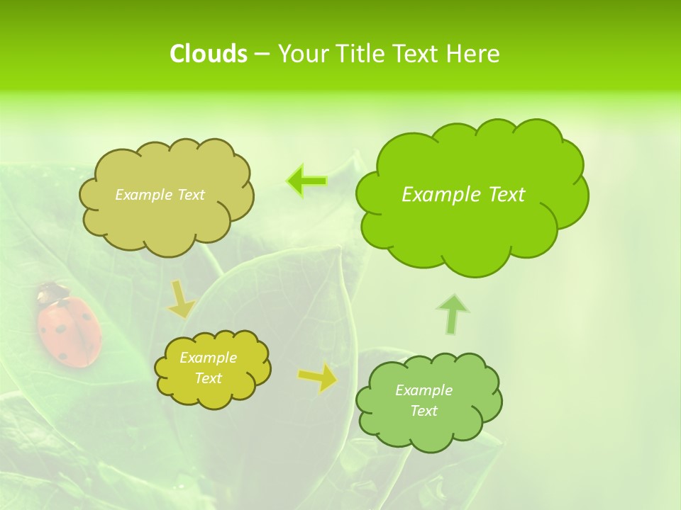 Drop Rain Bug PowerPoint Template