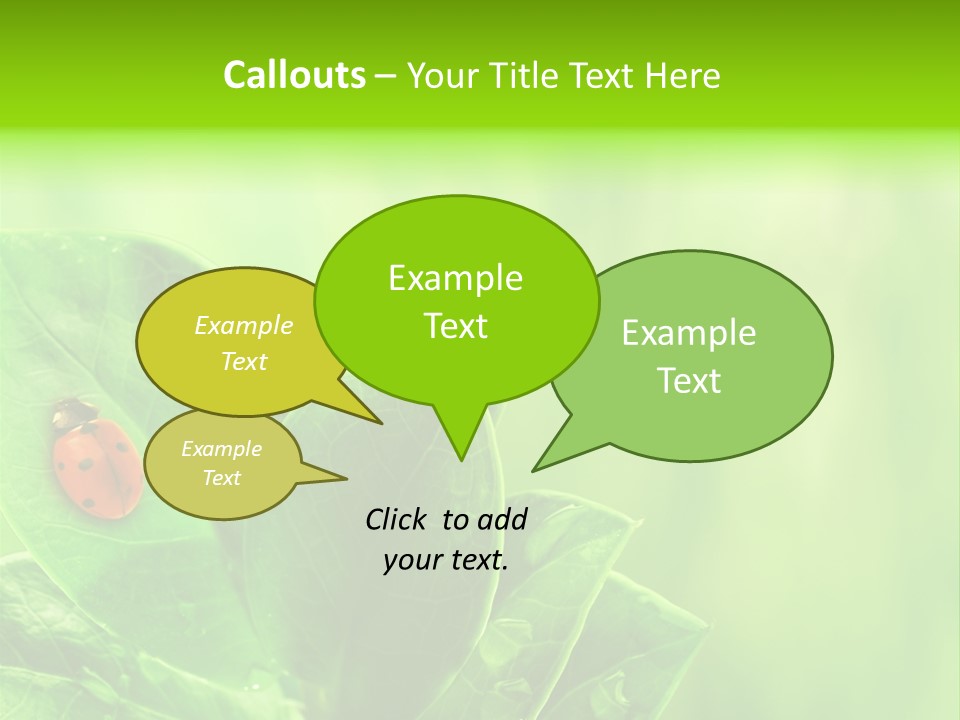 Drop Rain Bug PowerPoint Template