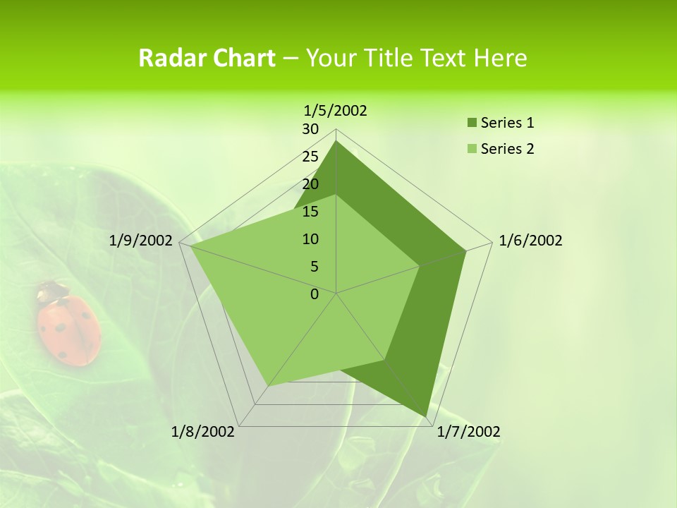 Drop Rain Bug PowerPoint Template