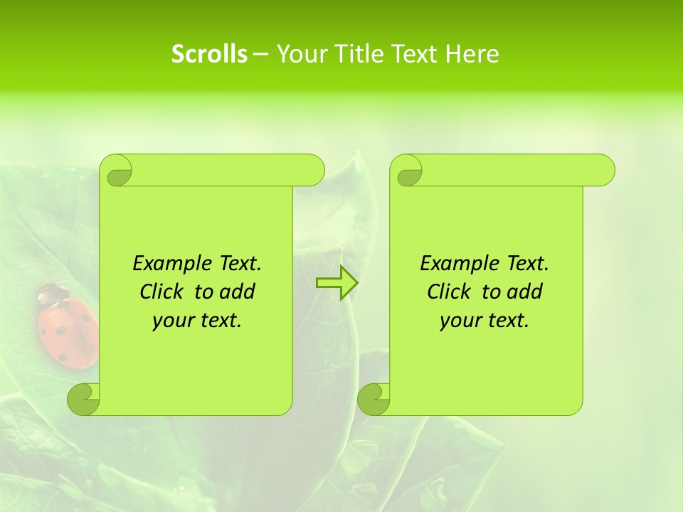 Drop Rain Bug PowerPoint Template
