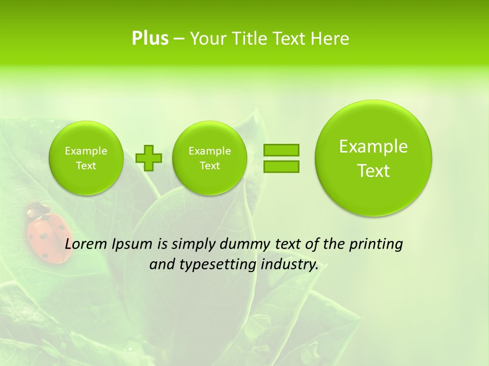 Drop Rain Bug PowerPoint Template