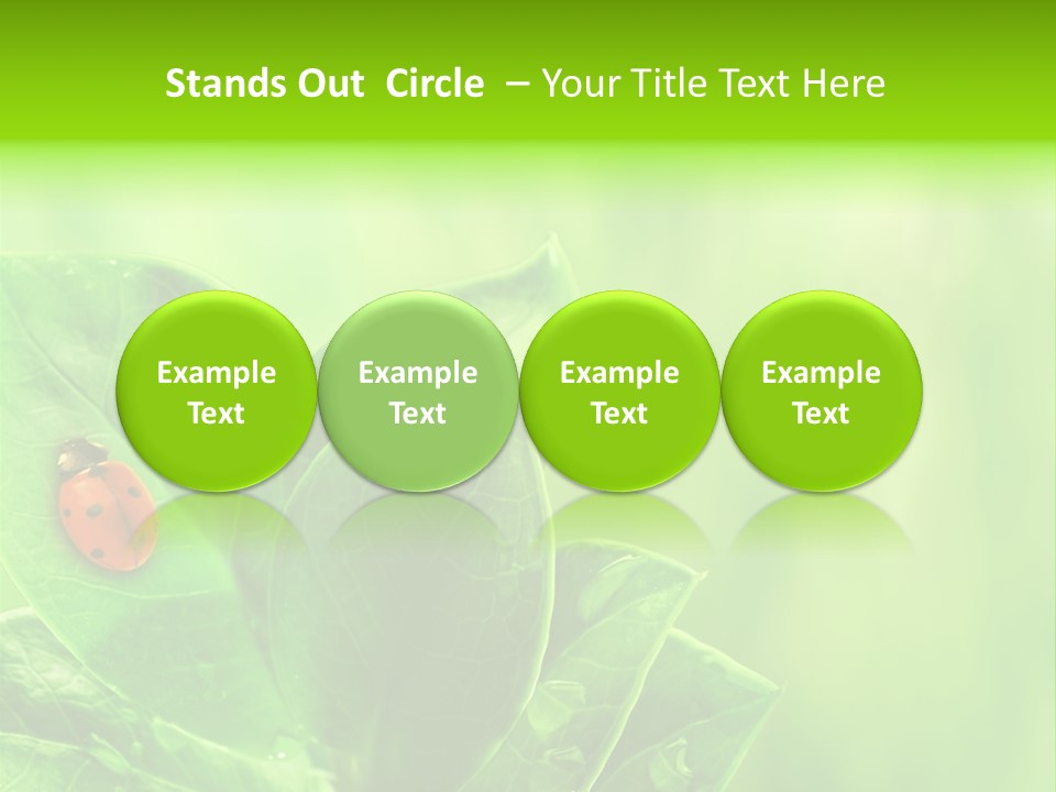 Drop Rain Bug PowerPoint Template