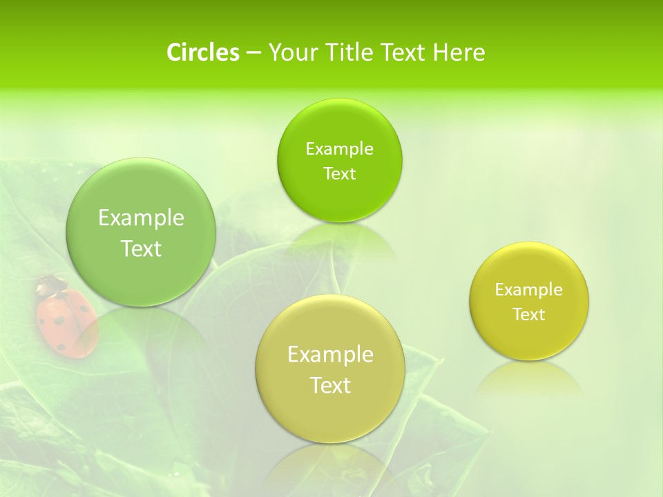 Drop Rain Bug PowerPoint Template