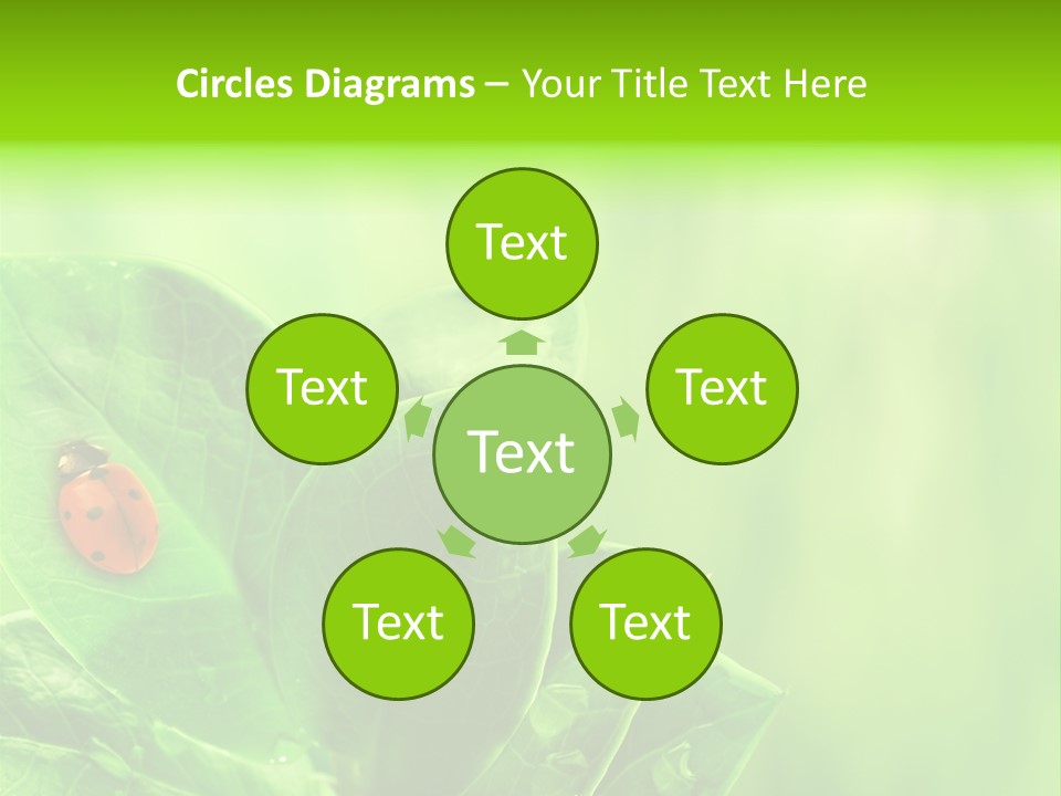 Drop Rain Bug PowerPoint Template