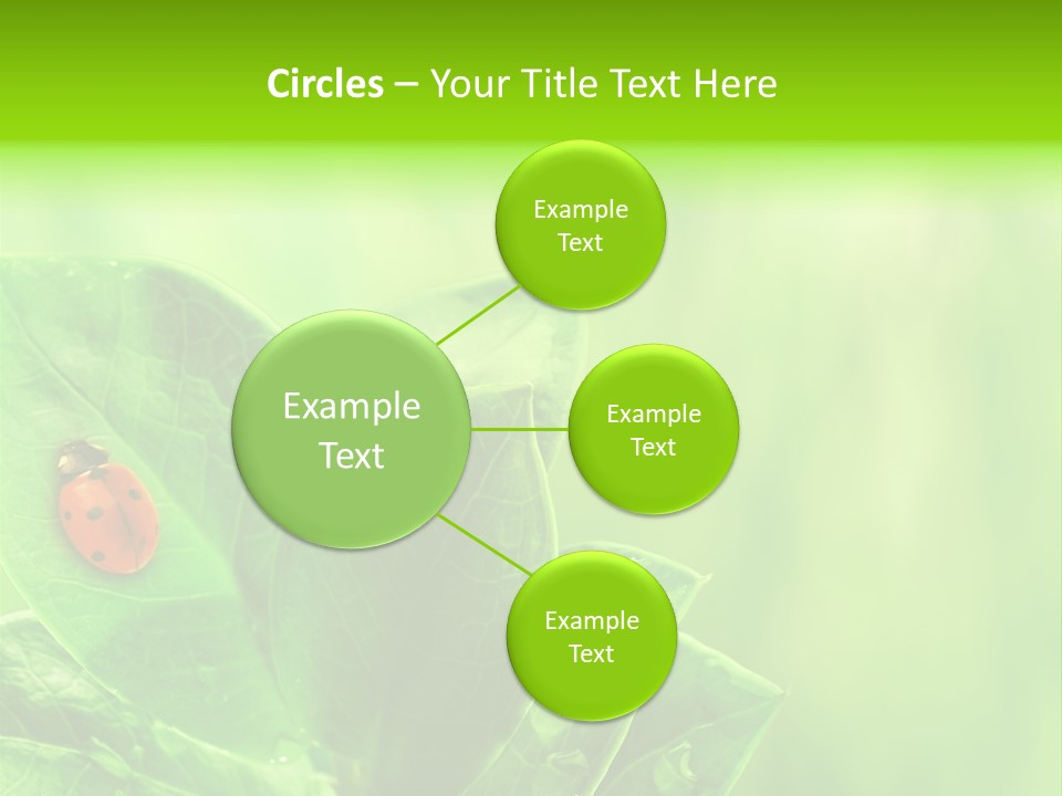 Drop Rain Bug PowerPoint Template