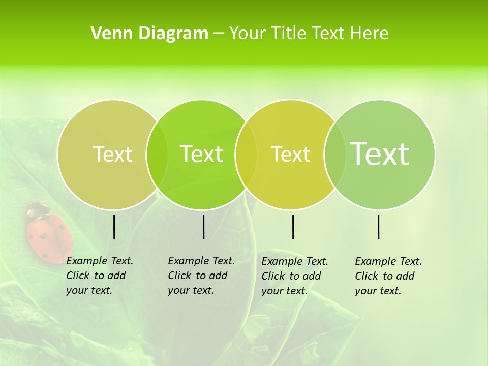 Drop Rain Bug PowerPoint Template