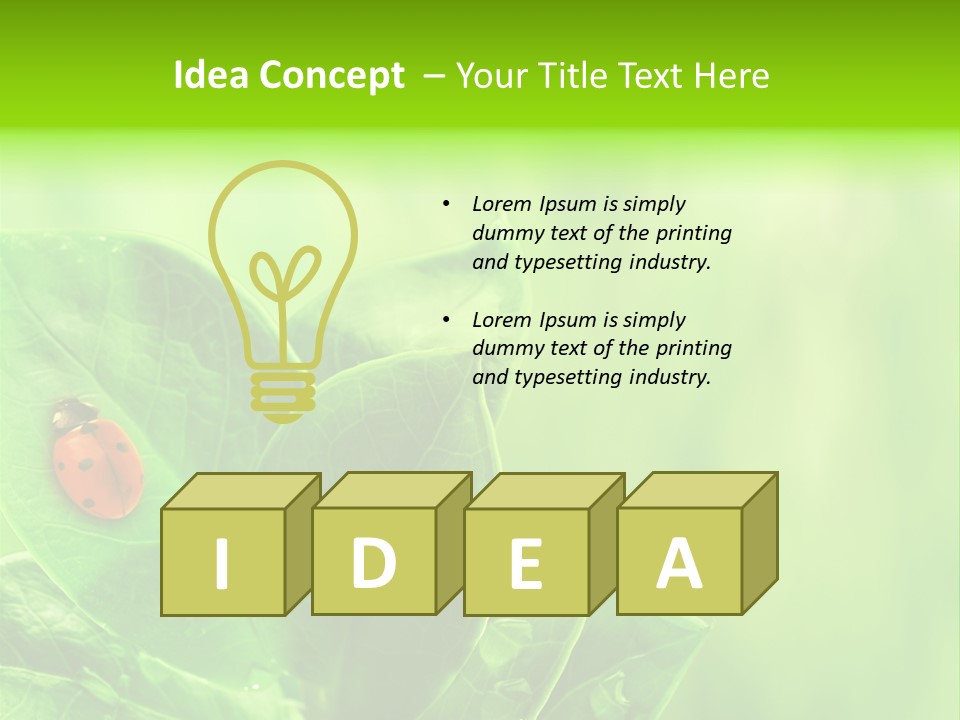 Drop Rain Bug PowerPoint Template