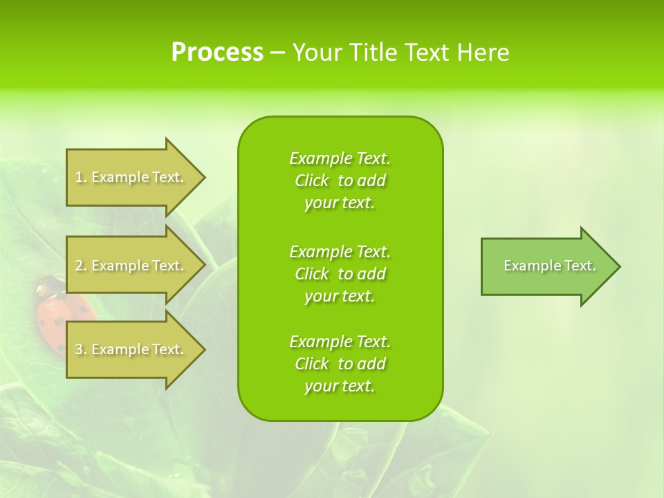 Drop Rain Bug PowerPoint Template
